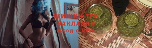 эйфоретик Вяземский