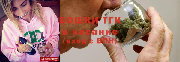 эйфоретик Вяземский