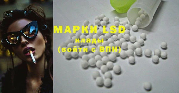 эйфоретик Вяземский