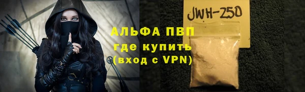 эйфоретик Вяземский