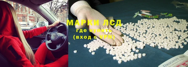 эйфоретик Вяземский