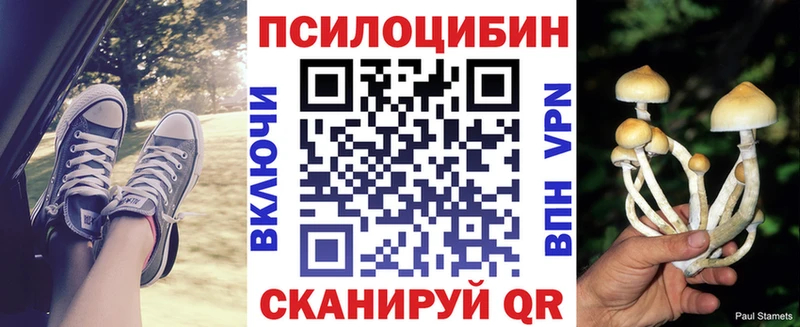как найти закладки  Плавск  блэк спрут вход  Галлюциногенные грибы GOLDEN TEACHER 